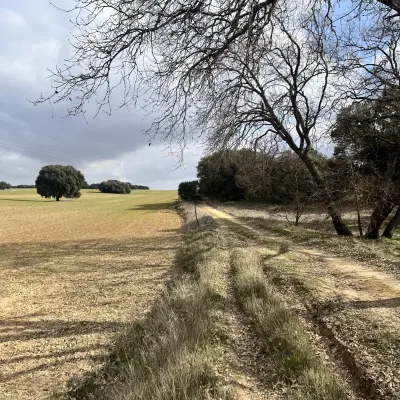 Foto subida por Aiub