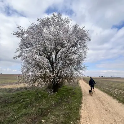 Foto subida por Aiub