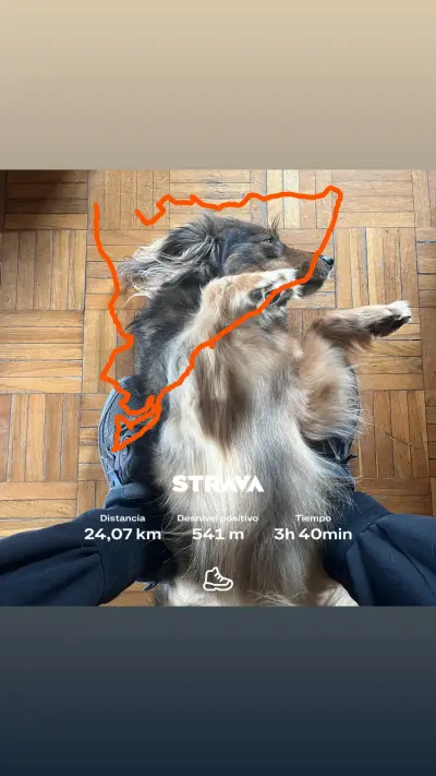 Foto subida por Aiub