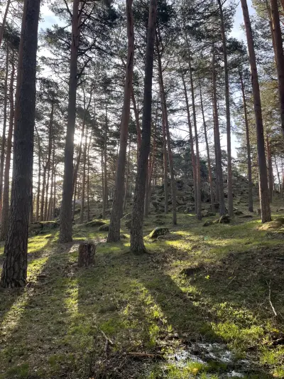 Foto subida por Aiub