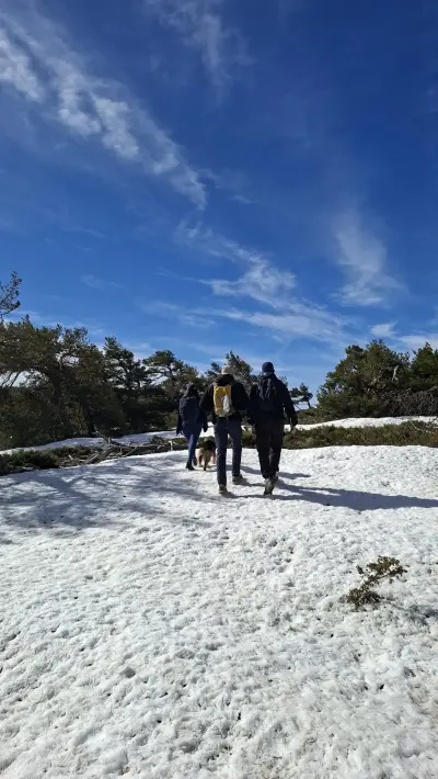 Foto subida por Aiub