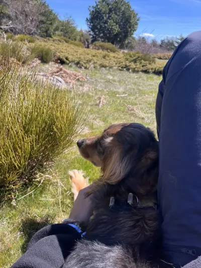 Foto subida por Aiub