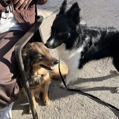 Foto subida por Aiub