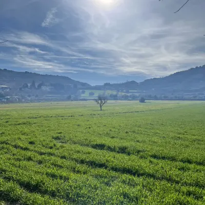 Foto subida por Aiub