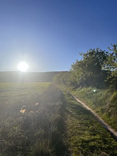 Foto subida por Aiub